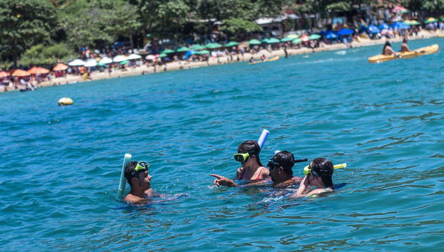 Do some snorkeling