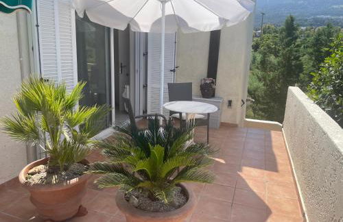 Carpe Diem - Photo 28