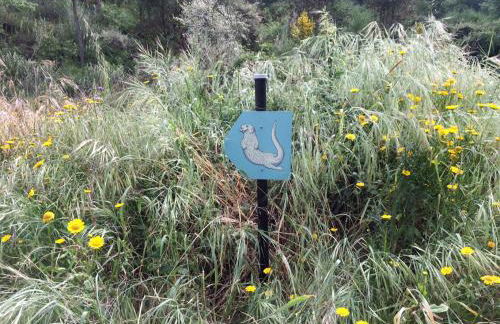 Quinta da Lontra - Foto 19