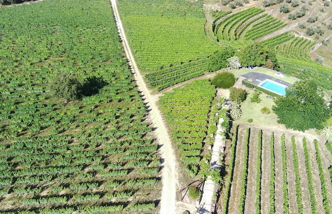 Quinta da Cumieira - Foto 32