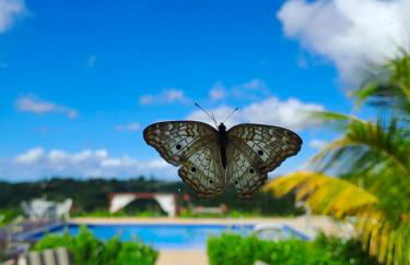 Pousada Monte das Serras - Foto 48