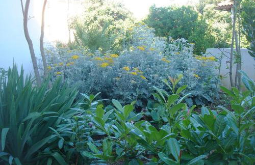 Villa Laurus I - Foto 26