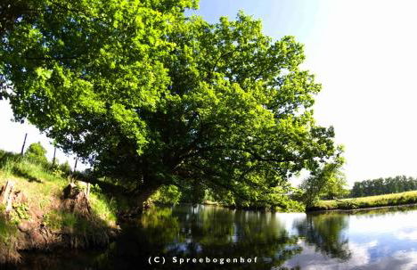 Spreebogenhof - Foto 12