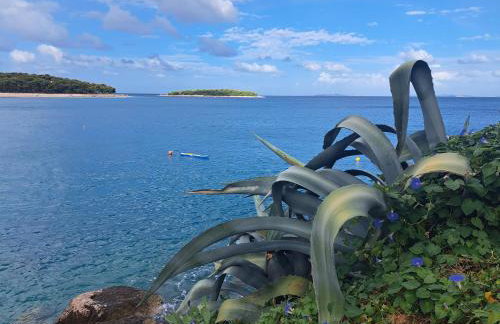 Apartman dida Jakov - Foto 40