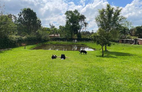 Sítio recanto da Felicidade - Foto 9