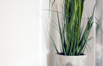 Bärengasse Apartments - Foto 1