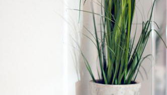 Bärengasse Apartments - Photo 1