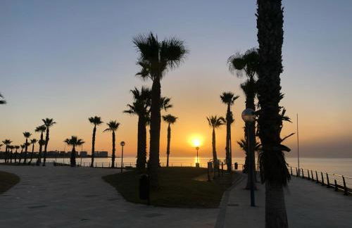 Palmview Poolside Heaven in Turquesa del Mar - Foto 76