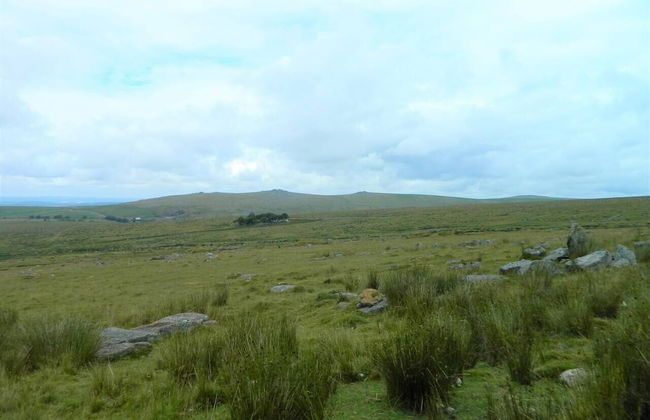 Dartmoor Barn on North Hessary Tor - Foto 19