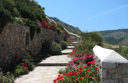 Hydra Erato - Foto 18