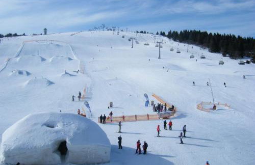 Ferienwohnung Penthouse Feldberg - Photo 41