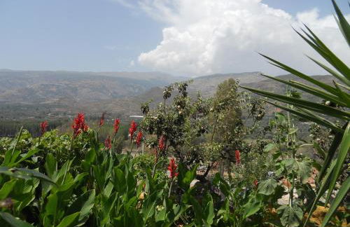 Casas Amaro - Foto 85