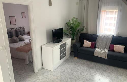 Apartamentos JS Playa - Foto 29