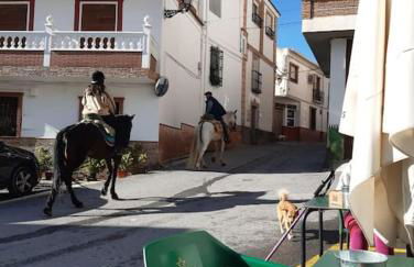 Private pool in Lecrin 30 min Granada/beach - Foto 16