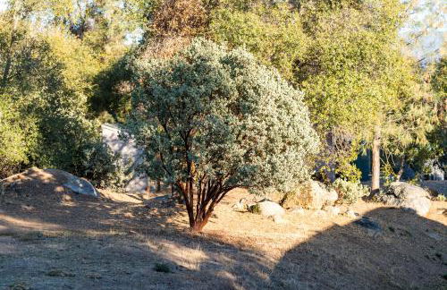 Lupine Landing - Foto 52