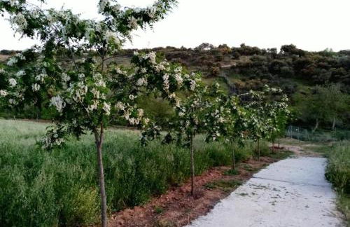 apartamentos turisticos la gitanilla - Foto 43