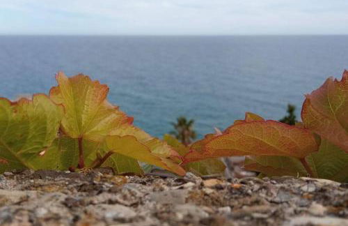 Villa CliCla - Pool, sea,hommock swing and laziness - Foto 32