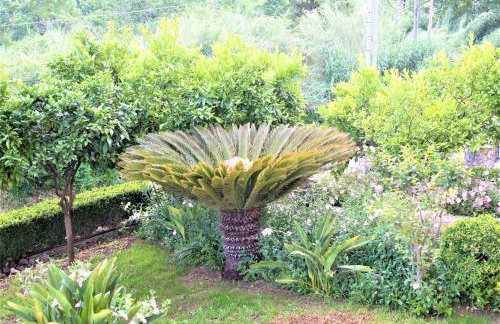 La Bella Vita - Luxury Holiday House close to Corfu Town - Photo 30