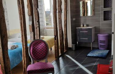 Gîte Ladeveze - Foto 40