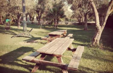 Agriturismo Masseria Pallanzano CON PISCINA - Foto 64