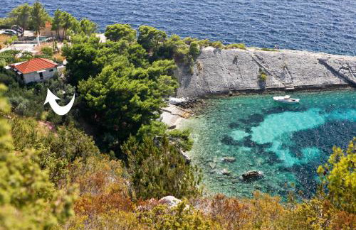 Robinson Erina - Photo 1