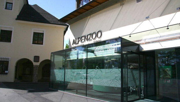 Entrada combinada del zoológico alpino Innsbruck y Hungerburg - Foto 4