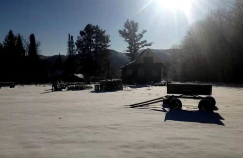 Delightful Guest House Cabin in the Adirondacks - Foto 26