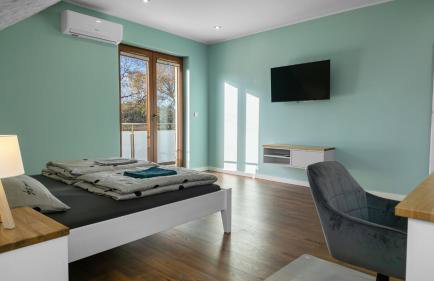 Przytulisko Leszczewek - Foto 27