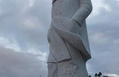 O Salgueiro - Foto 48