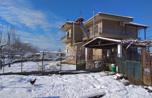 Fofi's Place - Photo 24