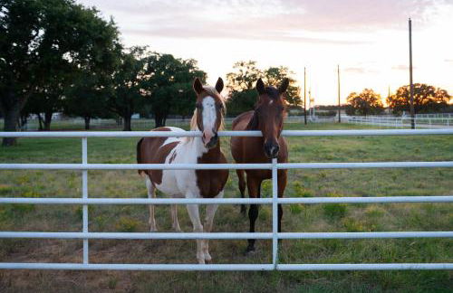 Dog-Friendly Texas Ranch with Patio, Horses On-Site - Foto 27