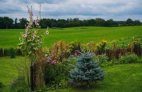 Domek w polu - Foto 25