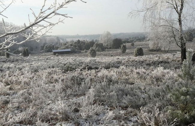 Heidetraum in der Pension Heidetraum - Photo 17