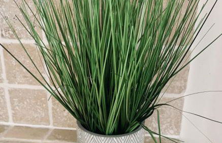 Fryers Cottage Wirksworth, a traditional yet stylish 2-bedroom Peak District cottage - Foto 22