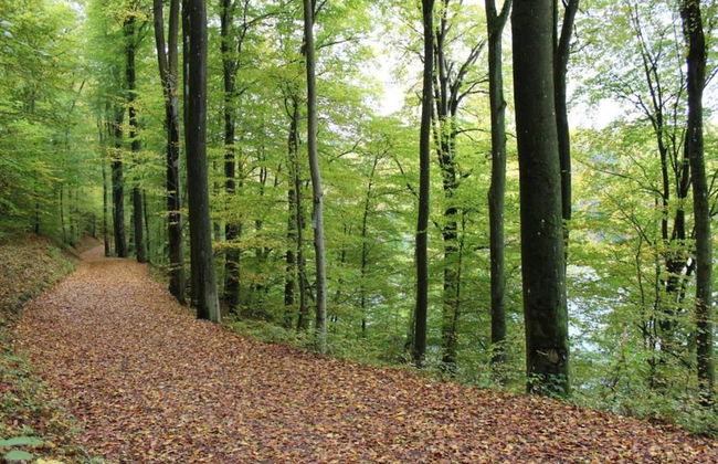 Cozy Apartment in Niederehe Eifel near Forest - Foto 35