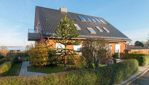 Ostsehbutzen - Foto 3