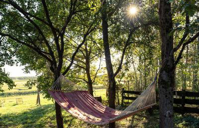 Agroturystyka Nad Wartą - Foto 26