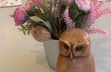 Owls Nest Log Cabin - Foto 28