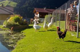 Residence Bannwald - Photo 45