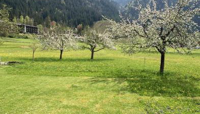 Haus Claudia Lipp - Foto 2, Garden