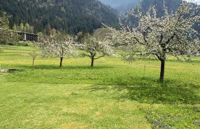 Haus Claudia Lipp - Foto 2