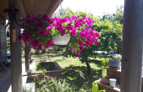 vensac ocean montalivet - Foto 13