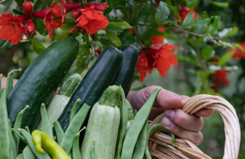 Sinanis Garden House - Foto 19