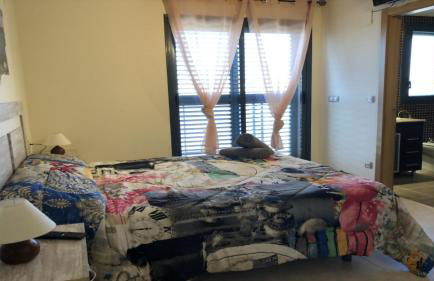 Impresionante alojamiento compuesto por 2 Chalets Adosados de lujo para 14 personas Piscina con CIRCUITO SPA - Foto 28