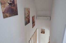 Grofova Kuća - Photo 32