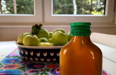 Sosnowy Raj domki nad rzeką Wkrą - Foto 77