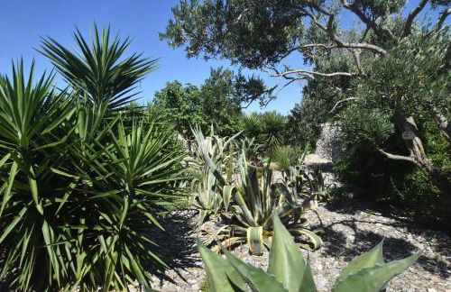 Masseria Giulio - Foto 75