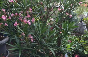 VIP Appartement - Foto 44