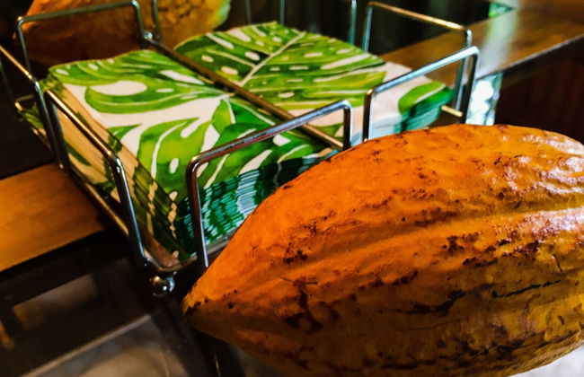 Negra Lodge Costa Rica - Photo 6