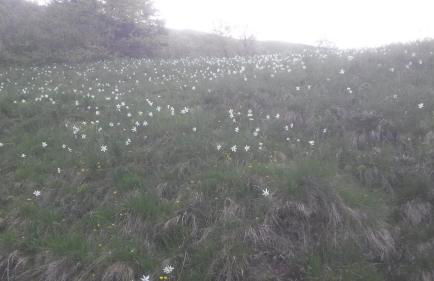 Eco-apartment Valletta - Photo 26